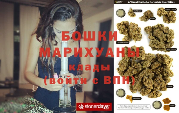 индика Мурманск