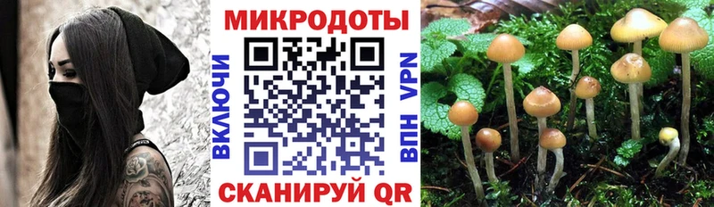 Галлюциногенные грибы Psilocybine cubensis  Весьегонск 